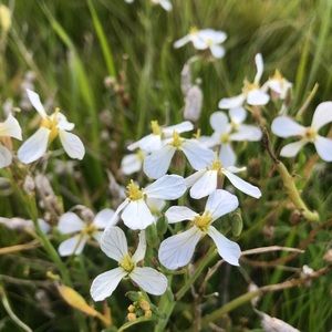 Meet your Posher, Chloe